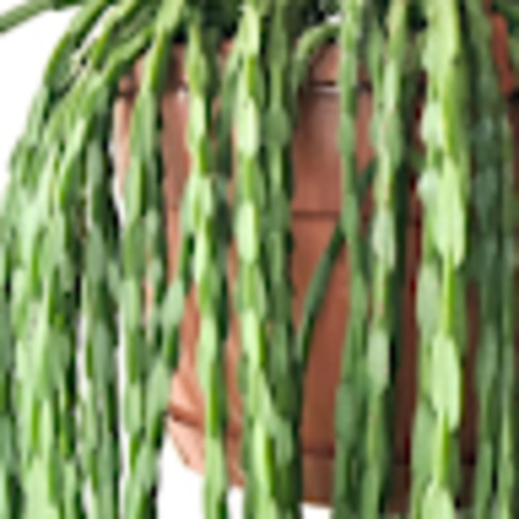 Meet your Posher, Kristal - Picture 1 of 1